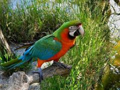 183 D21 SANARY SUR MER 1_000009